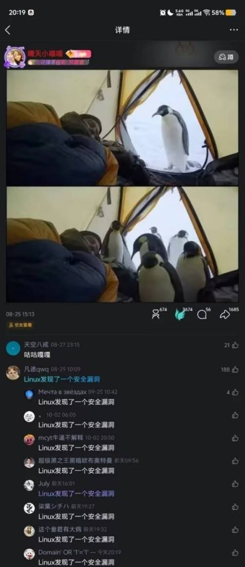 Linux用户说我们没有漏洞，结果漏洞自己破门而入
