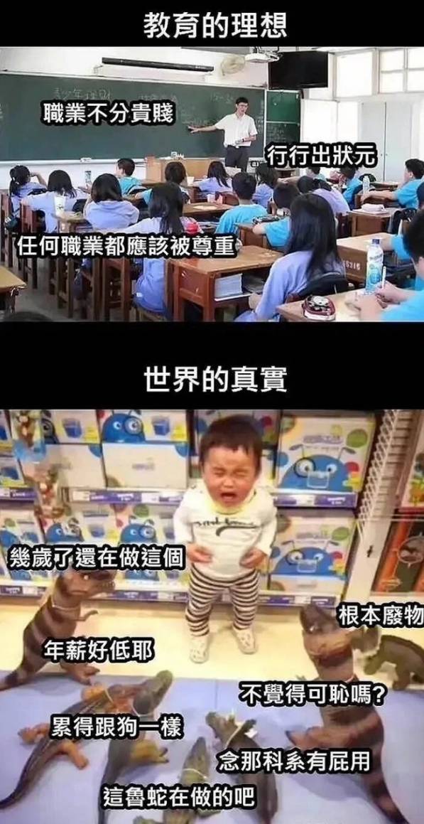 课本教人行行出状元，现实教你累成狗