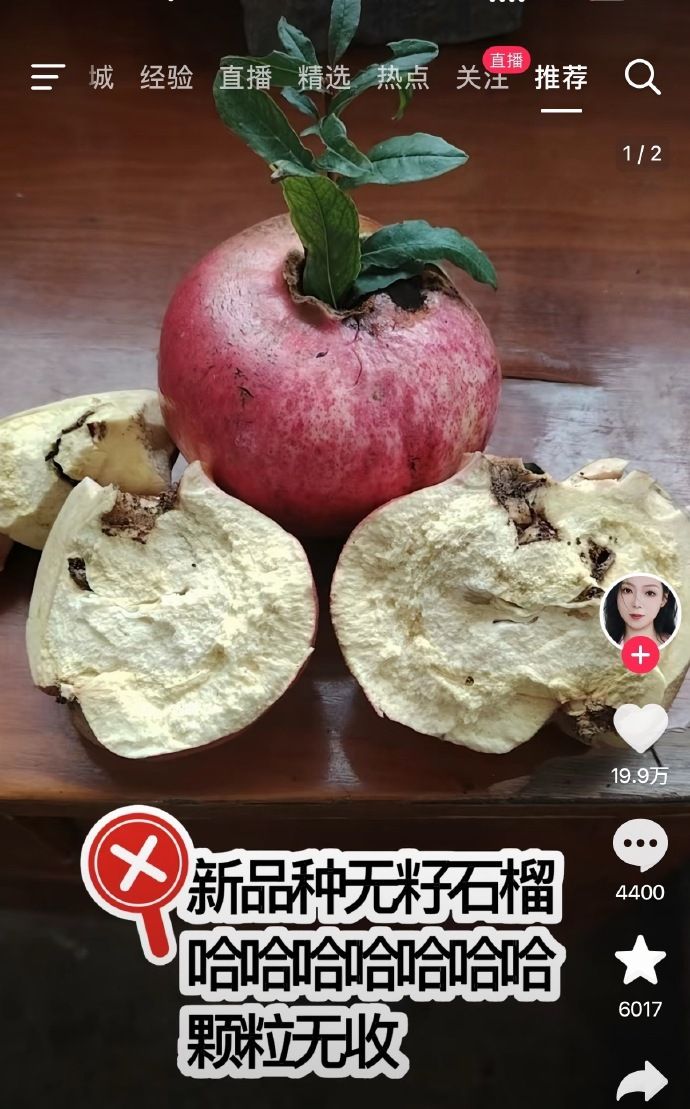 无籽石榴：颗粒饱满；买家：颗粒无收