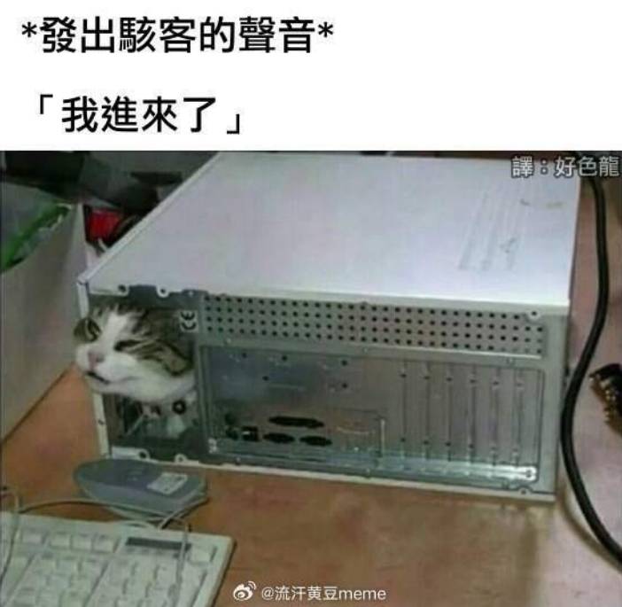 囧图速递:骇客猫自首、跑车拉货、卷纸占道 5图精选