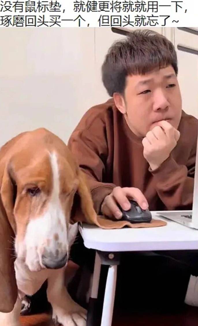 说好的回头买鼠标垫，结果先把狗耳朵征用了