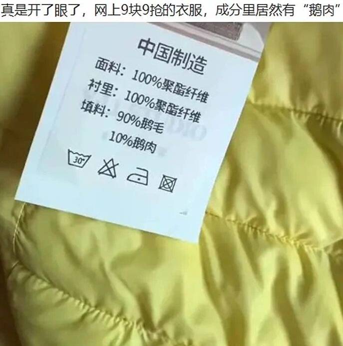 九块九的鹅绒服，填充物还附赠百分之十鹅肉